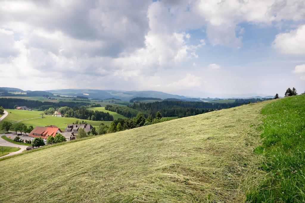 Gasthaus Sonne Neuhaeusle Санкт-Мерген Экстерьер фото
